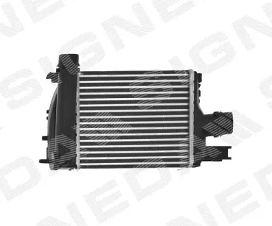 Signeda RI96529 інтеркулєр